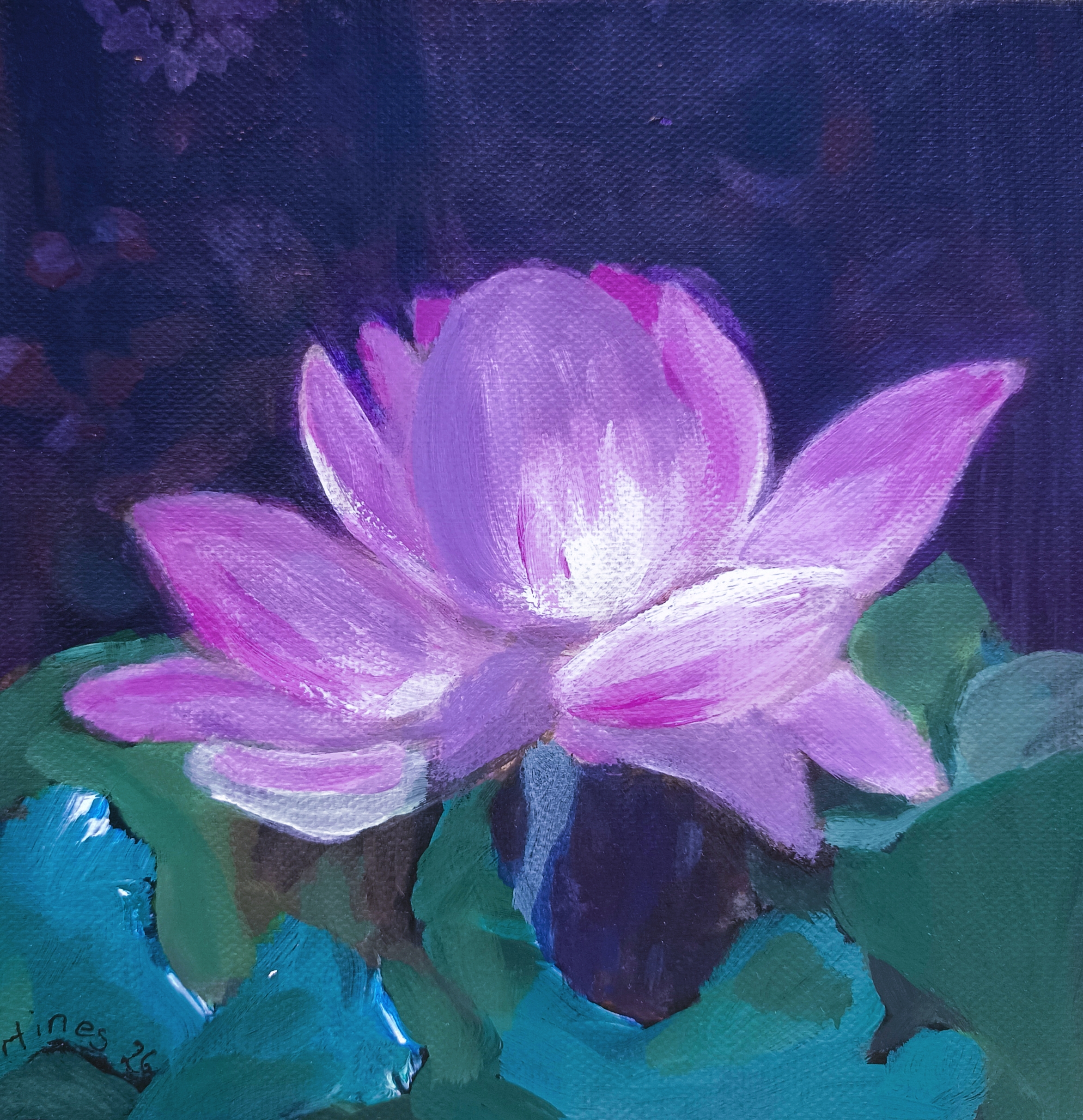 Lotusliebe 1